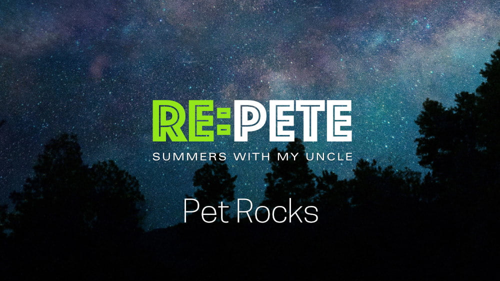 Pet Rocks Image