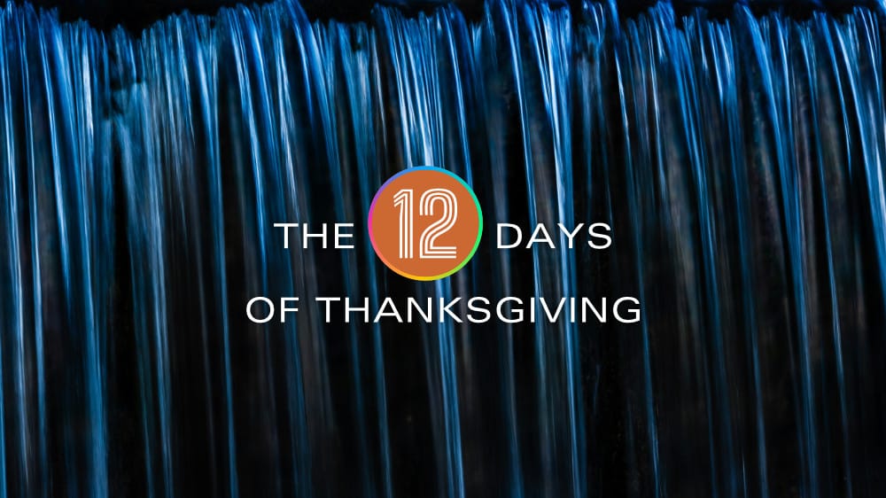 The 12 Days of Thanksgiving