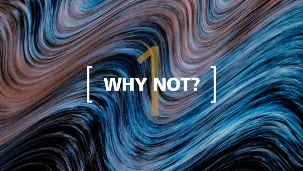 Why Not? (1)