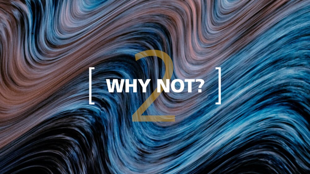 Why Not (2)