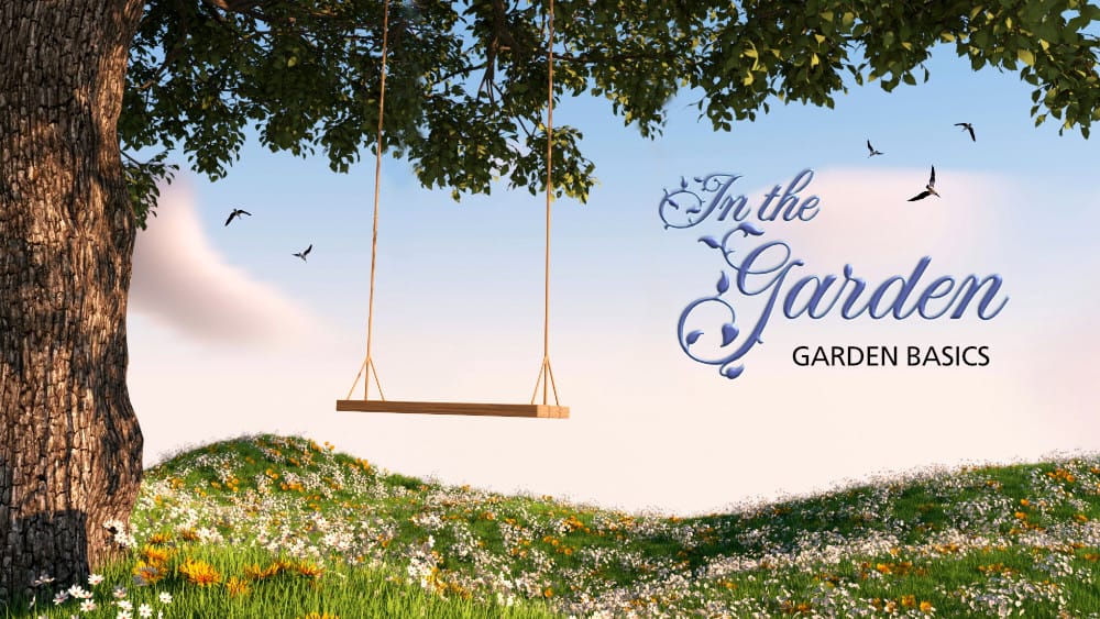 Garden Basics